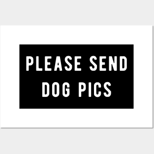 please send dog pics Posters and Art